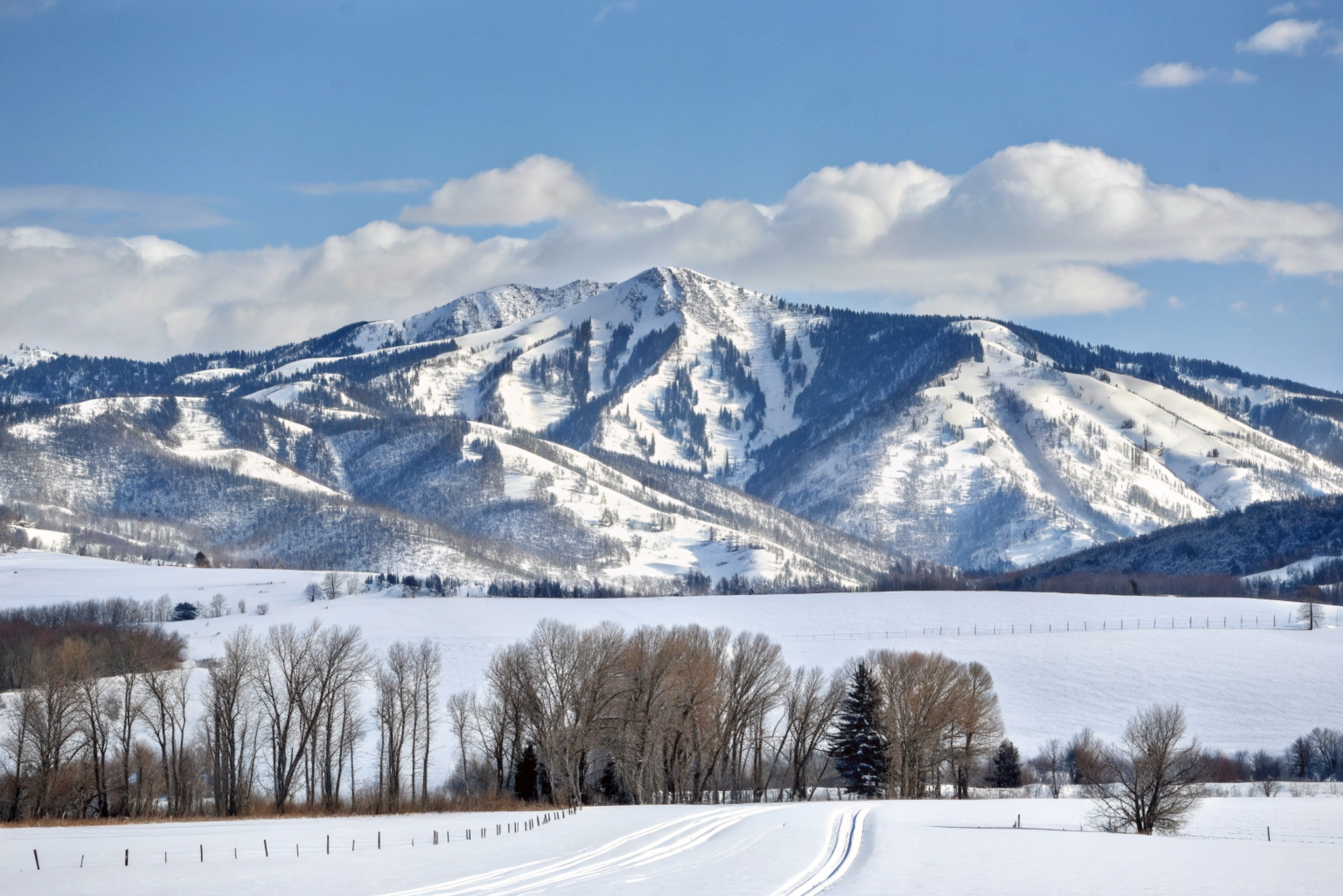 33bca14cb7745a6b48e8b46d1987cfb3e5b0326f